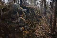DSC_0167w
