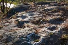 DSC_0193w