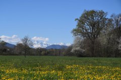 DSC_2966w