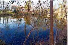 IMG-20230320-WA0000