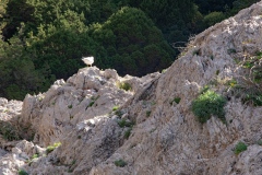 50-DSC_4270w