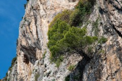 51-DSC_4277w