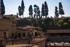65-DSC_4342w