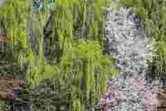14-20250317_121518