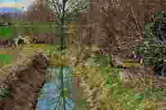 15-20250317_215551