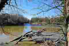 20250203_112857w