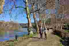 20250203_130258w