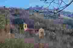 20250115_123355w