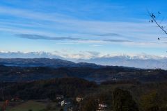 DSC_5367