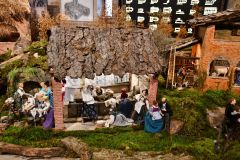 DSC_5408